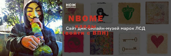 стафф Зерноград