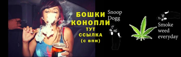 стафф Зерноград