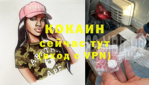стафф Зерноград
