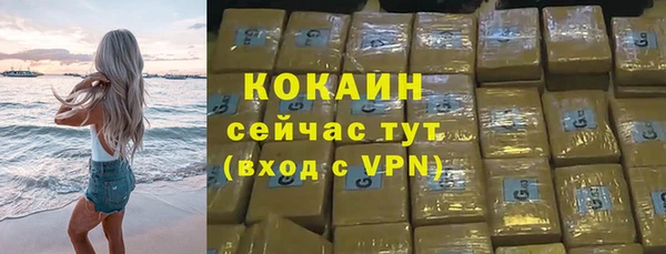 стафф Зерноград