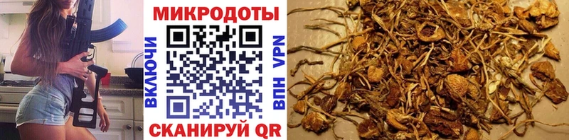 Купить закладки  Великий Устюг  Галлюциногенные грибы мухоморы 